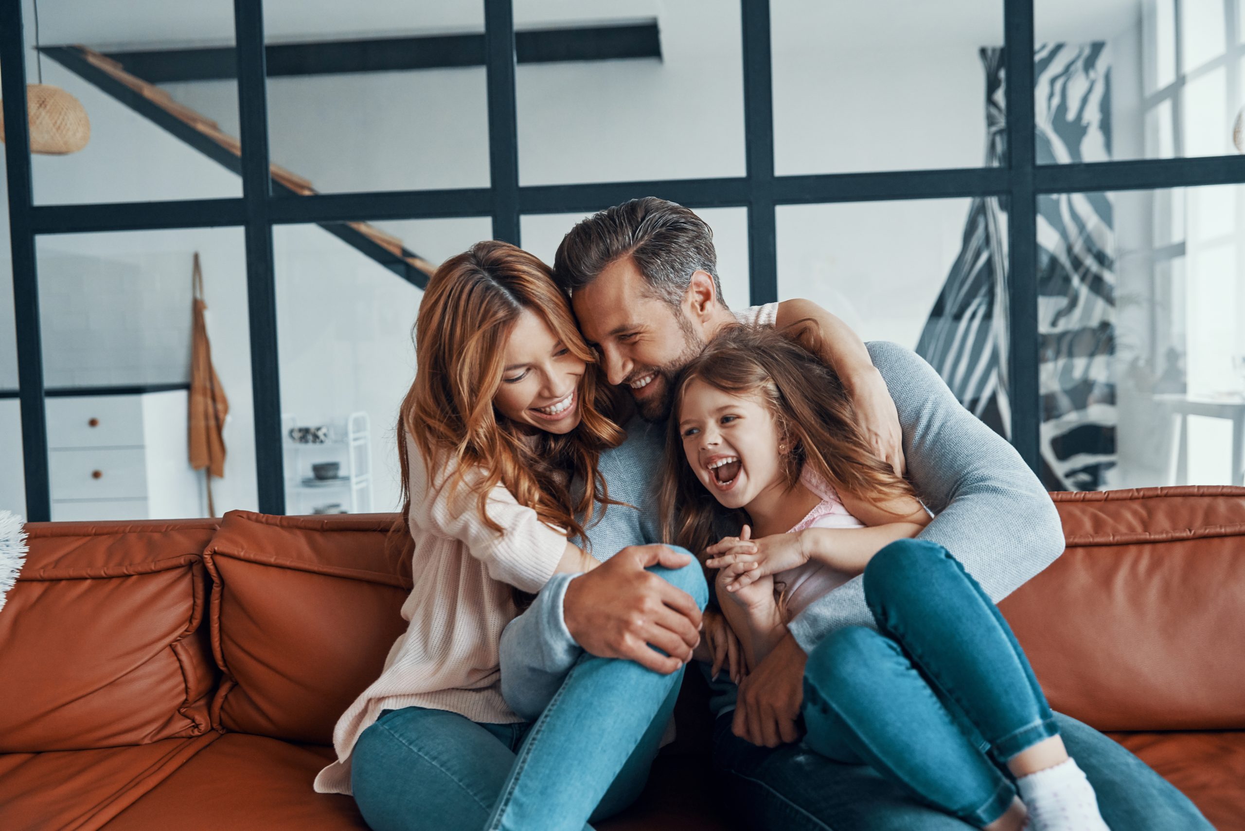 ERV system for home, what is an ERV, whole home ventilation system, indoor air quality system